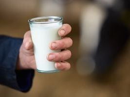 Jackson Farms to stop producing milk in ‘very near future’