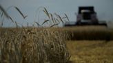 EU states agree 'prohibitive' tariffs on Russia grain imports