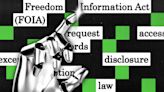 Some U.S. government agencies are testing out AI to help fulfill public records requests