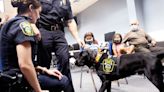 'Broko's Law' requires restitution for police dogs