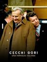 Cecchi Gori: an italian family