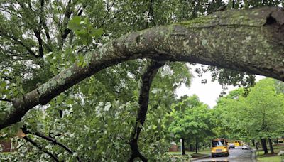 1 dead, thousands without power as storms pummel Charlotte. Flights grounded at airport