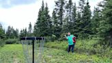 Disc golf flies into central Newfoundland with new temporary Gander course