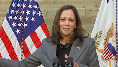 VP Kamala Harris attacks state law on abortion pills