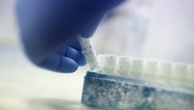 Company-sponsored egg freezing: How global firms are attracting talent