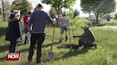 Ford employees lend a helping hand with landscaping at Ottawa Metro Park