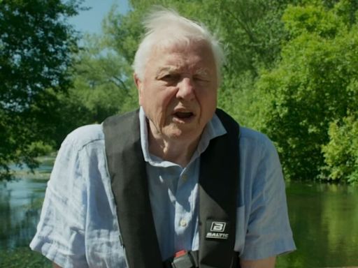 Gardeners told don't mow lawn in June after David Attenborough's worrying update