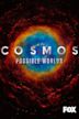 Cosmos: Possible Worlds