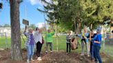 Marion Women's Club members revitalize Marion's oldest cemetery - what prompted them to do it