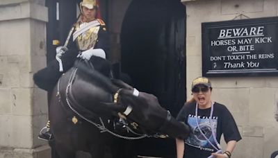 Photo-Seeking Tourist Gets Bitten by King's Horse and Then Faints