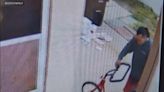 Thief allegedly steals tricycle from child with rare neurological disorder