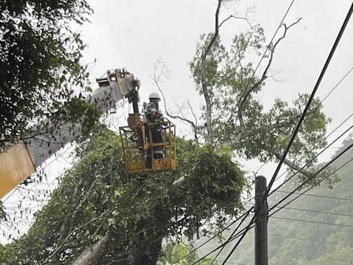 新北山區1萬7685戶停電 台電動員搶修已復電逾9成