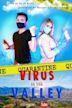 Virus in the Valley