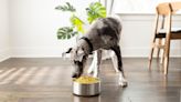 Nom Nom Delivers Fresh Dog Food That Even the Pickiest Pet Will Love