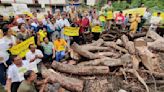 Indore: Citizens Take Up Cudgels Against Felling Of Trees At Malhar Ashram