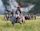 Battle of Waterloo reenactment