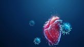 Cardiovascular risks and COVID-19: New research confirms the benefits of vaccination