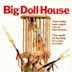 The Big Doll House
