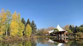 Picnickers, festivals lament pending 3-year closure of Edmonton's Hawrelak Park