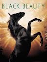 Black Beauty (1994 film)