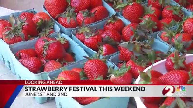 Strawberry Jam event set to kick off annual Troy weekend Festival