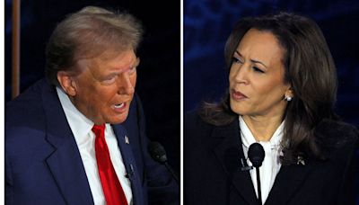 Trump or Harris: The US poll results will have profound economic effects