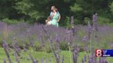 ‘It’s relaxing. It’s calming:’ Kids can play and explore in nature at Lavender Pond Farm