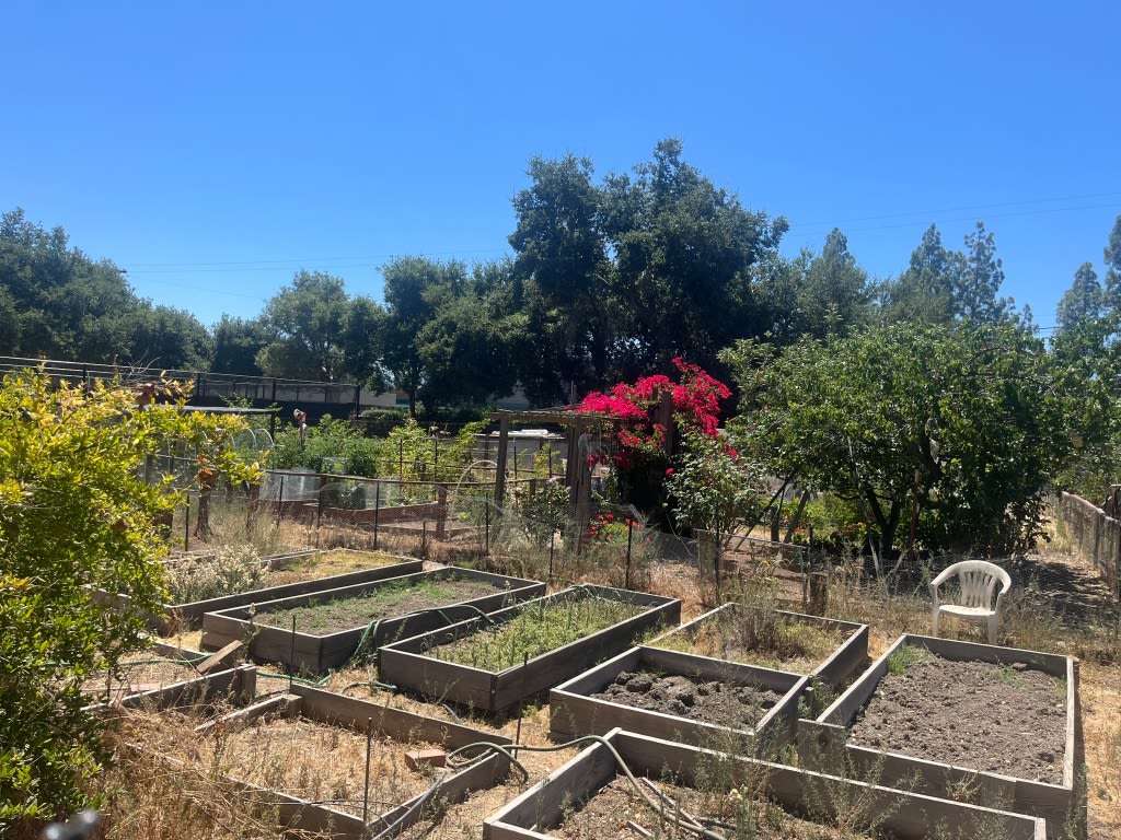 Saratoga begins work on community garden renovations