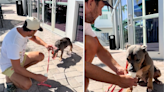 Dave Portnoy Treats Miss Peaches to Her Very First Pup Cup in Sweet Video