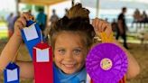 It's county fair season around central Illinois. Here are the details