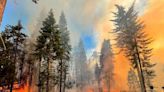 Wildfire near Yosemite National Park inching dangerously close to grove of historic sequoia trees