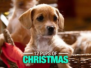 12 Pups of Christmas