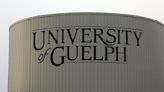 University of Guelph announces increased supports and services to deal with record high enrolment