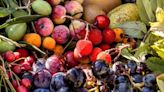 Dieta arcoíris: esto es lo que tiene que saber sobre los beneficios de combinar colores en la comida