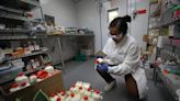 ‘A head-in-the-sand approach’: The U.S. strategic drug stockpile is inadequate for a bird flu outbreak