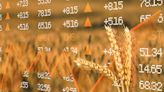 The Case for Bullish Wheat Prices Continues to Build | ETF Trends