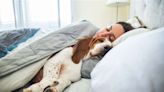 ¿Dormir con su mascota es beneficioso para la salud? | Teletica