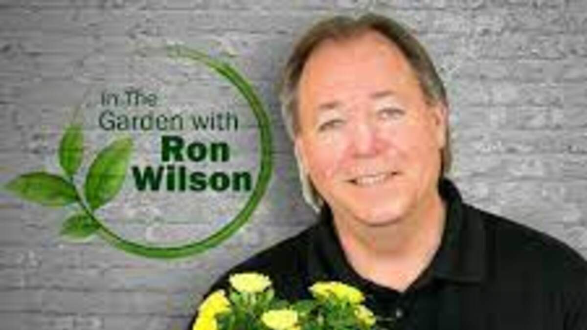 Plants of the Week - May 4th 2024 - Kentucky Derby Weekend! | 55KRC | Ron Wilson