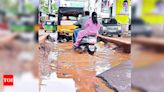 Andhra Pradesh CM Directs Officials to Prepare Action Plan for Road Repairs and Improve Sand Supply | Vijayawada News - Times of India