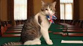 Larry The Cat Awaits Sixth Prime Minister As UK Election Nears
