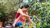 Cultive um jardim na sua casa ou no seu apartamento com flores em todas as estações do ano