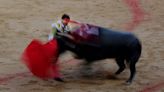 Spanish bullring to let children in free as 'best introduction' to bullfighting