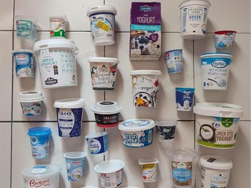 This Terengganu woman tried 15 yoghurt brands sold in Malaysia: Here’s what she found, and her favourite