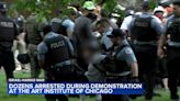 68 arrested at Pro-Palestinian protest outside the Art Institute of Chicago, police say