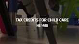 VIDEO: Nonprofit announces grant opportunities as child care tax credit bills held up amid filibuster