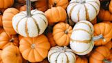 How Many of These October Holidays and Observances Do You Celebrate?