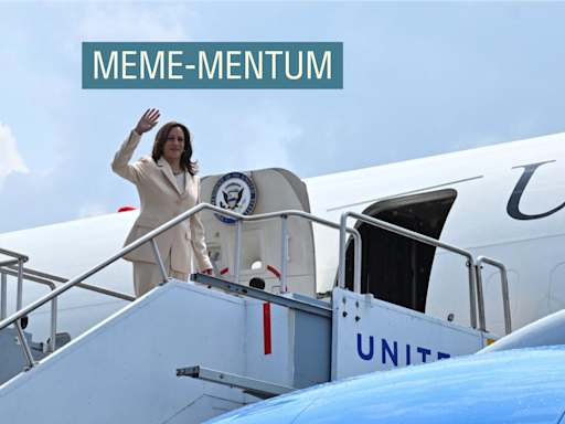 Operation Coconut Tree: Can Kamala Harris turn memes into votes?