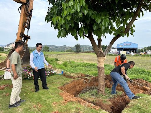 金門林務所邀樹藝師移植路樹 專業技術助環境永續 - 金門縣