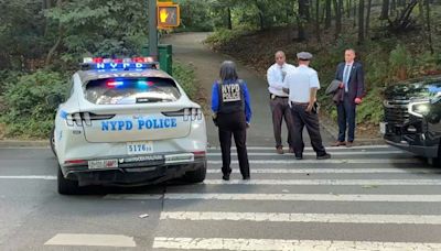Central Park sunbather fights off attack from man who jumped on her: Police