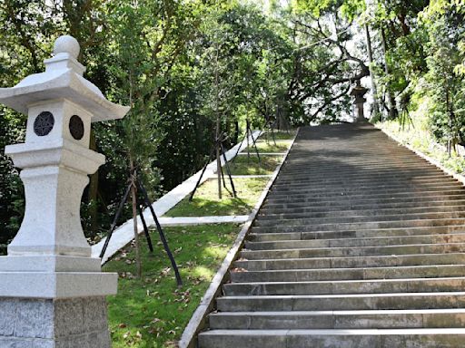 探索北市步道樹木之美 | 蕃新聞